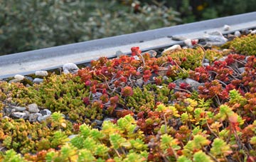 the cost of Bridge Of Walls green roof installation