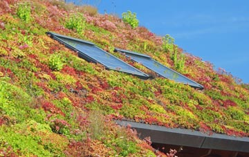 Bridge Of Walls living roof systems